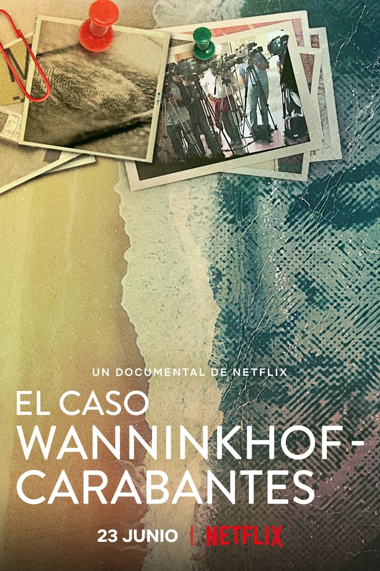 El caso Wanninkhof-Carabantes (2021)